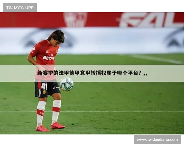 法甲电视转播权收入分配改革，缩小贫富差距